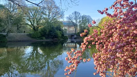 Düsseldorf im Frühling; Foto: evdus